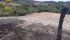 WhatsApp Image 2025-03-11 at 16.17.52 (3).jpeg
